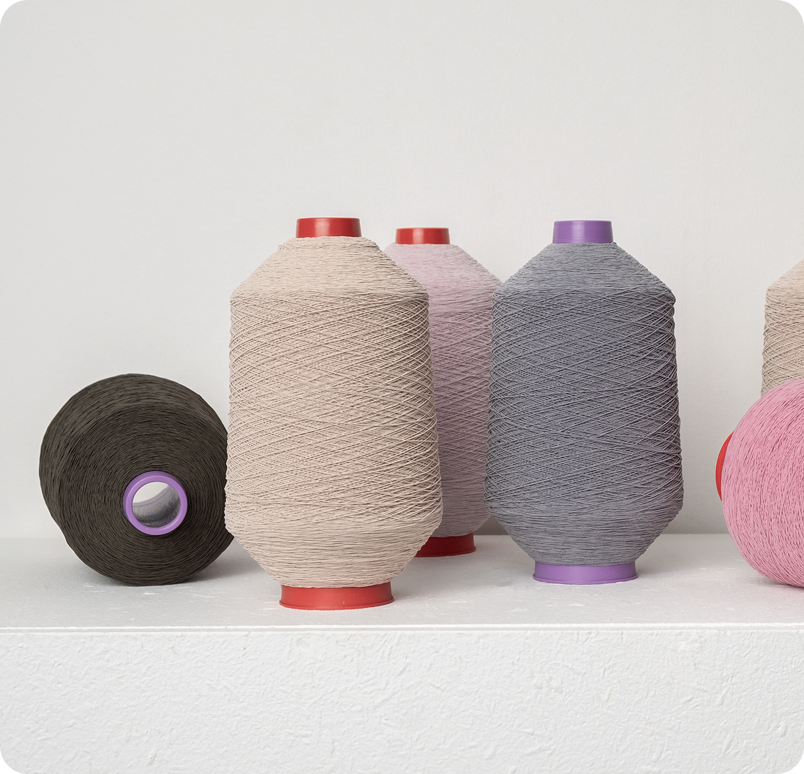 oferta-nici w oplocie